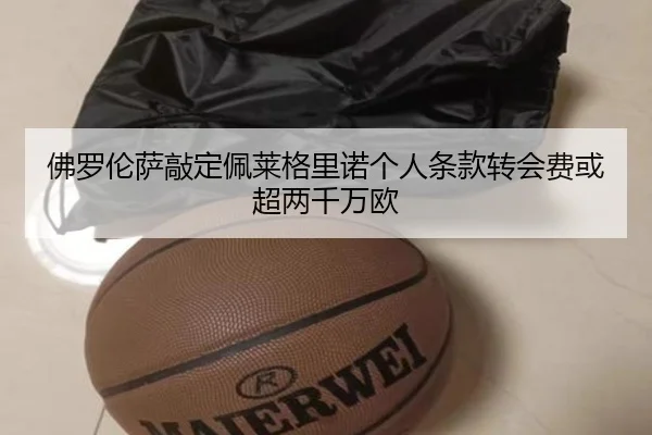 佛罗伦萨敲定佩莱格里诺个人条款转会费或超两千万欧